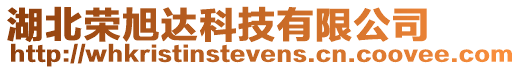 湖北荣旭达科技有限公司