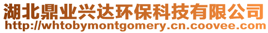 湖北鼎業(yè)興達環(huán)保科技有限公司