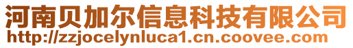 河南貝加爾信息科技有限公司