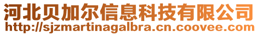 河北貝加爾信息科技有限公司