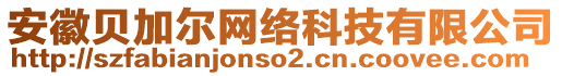 安徽貝加爾網(wǎng)絡(luò)科技有限公司