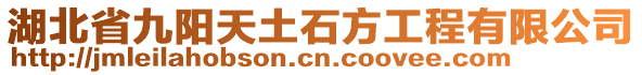 湖北省九陽天土石方工程有限公司