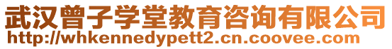 武漢曾子學(xué)堂教育咨詢有限公司