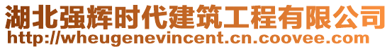 湖北強(qiáng)輝時(shí)代建筑工程有限公司