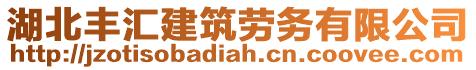 湖北豐匯建筑勞務(wù)有限公司