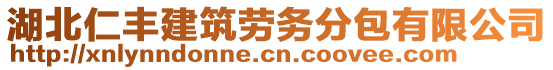 湖北仁丰建筑劳务分包有限公司