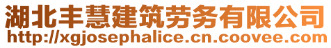 湖北豐慧建筑勞務(wù)有限公司