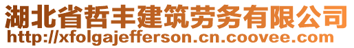 湖北省哲豐建筑勞務(wù)有限公司