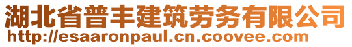 湖北省普豐建筑勞務(wù)有限公司