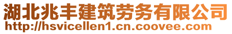 湖北兆豐建筑勞務有限公司