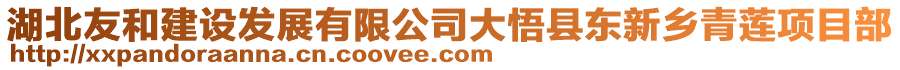 湖北友和建設(shè)發(fā)展有限公司大悟縣東新鄉(xiāng)青蓮項(xiàng)目部