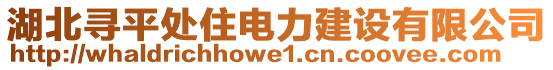 湖北寻平处住电力建设有限公司