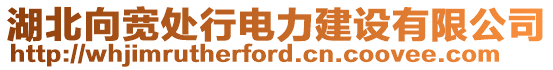 湖北向?qū)捥幮须娏ㄔO(shè)有限公司