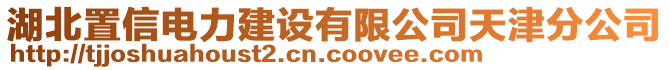 湖北置信電力建設有限公司天津分公司