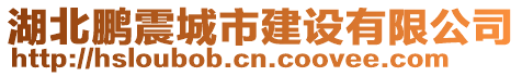 湖北鵬震城市建設(shè)有限公司