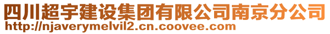 四川超宇建設(shè)集團(tuán)有限公司南京分公司