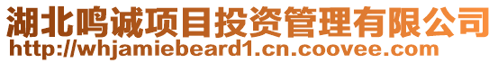 湖北鳴誠項目投資管理有限公司