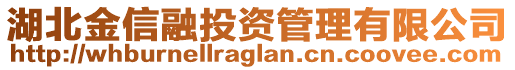 湖北金信融投資管理有限公司