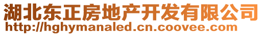 湖北東正房地產(chǎn)開發(fā)有限公司