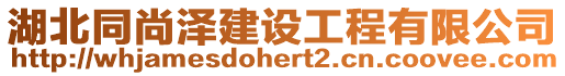 湖北同尚澤建設工程有限公司