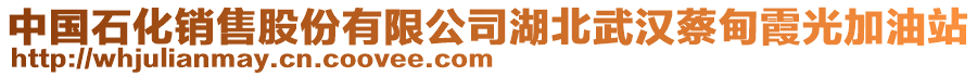 中國(guó)石化銷售股份有限公司湖北武漢蔡甸霞光加油站