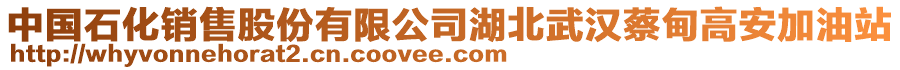 中國石化銷售股份有限公司湖北武漢蔡甸高安加油站