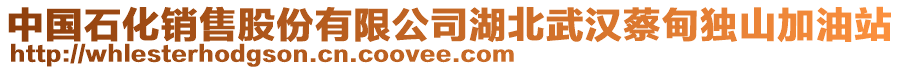 中國石化銷售股份有限公司湖北武漢蔡甸獨山加油站