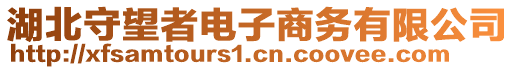 湖北守望者電子商務(wù)有限公司