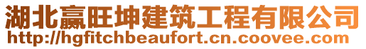 湖北赢旺坤建筑工程有限公司