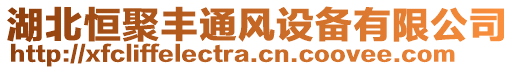 湖北恒聚豐通風設備有限公司