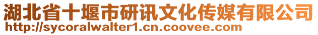 湖北省十堰市研訊文化傳媒有限公司