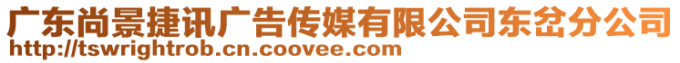 廣東尚景捷訊廣告?zhèn)髅接邢薰緰|岔分公司