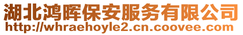 湖北鴻暉保安服務(wù)有限公司