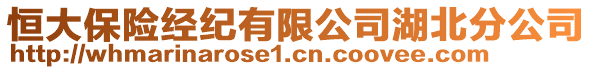 恒大保險經紀有限公司湖北分公司