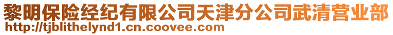 黎明保險(xiǎn)經(jīng)紀(jì)有限公司天津分公司武清營(yíng)業(yè)部