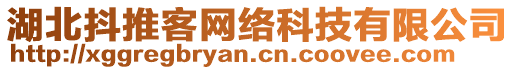 湖北抖推客網(wǎng)絡(luò)科技有限公司