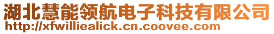 湖北慧能領(lǐng)航電子科技有限公司