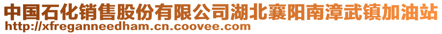 中國(guó)石化銷售股份有限公司湖北襄陽(yáng)南漳武鎮(zhèn)加油站