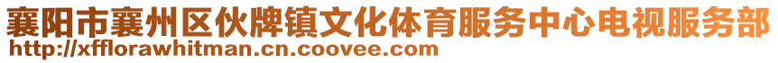 襄阳市襄州区伙牌镇文化体育服务中心电视服务部