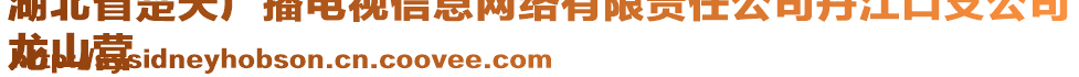 湖北省楚天廣播電視信息網(wǎng)絡(luò)有限責(zé)任公司丹江口支公司
龍山營(yíng)