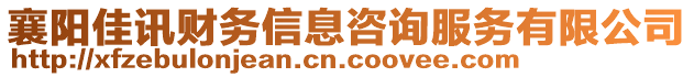 襄陽(yáng)佳訊財(cái)務(wù)信息咨詢服務(wù)有限公司