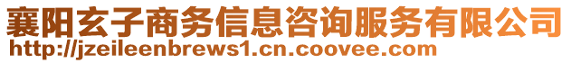 襄陽(yáng)玄子商務(wù)信息咨詢服務(wù)有限公司