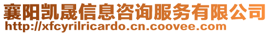 襄陽(yáng)凱晟信息咨詢服務(wù)有限公司