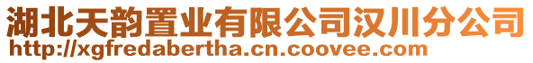 湖北天韵置业有限公司汉川分公司