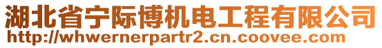 湖北省寧際博機(jī)電工程有限公司