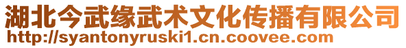 湖北今武緣武術文化傳播有限公司