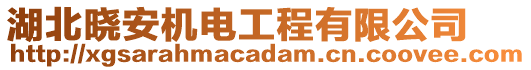 湖北曉安機(jī)電工程有限公司