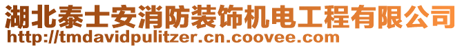 湖北泰士安消防裝飾機電工程有限公司