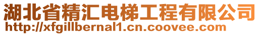 湖北省精匯電梯工程有限公司