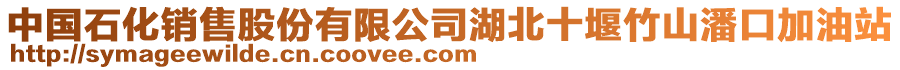 中國(guó)石化銷售股份有限公司湖北十堰竹山潘口加油站